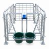 dhun Heavy-Duty MS Calf Cage for Dairy Farming (60 x 38 x 38)-1_