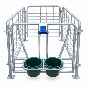dhun Heavy-Duty MS Calf Cage for Dairy Farming (60 x 38 x 38)-1_