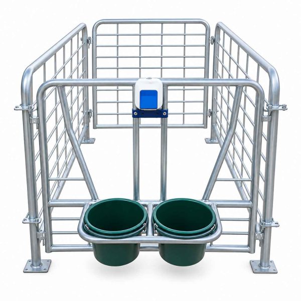 dhun Heavy-Duty MS Calf Cage for Dairy Farming (60 x 38 x 38)-1_