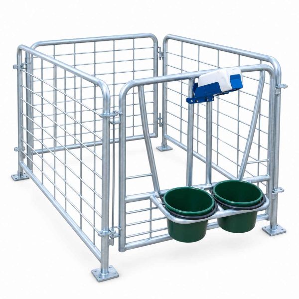 dhun Heavy-Duty MS Calf Cage for Dairy Farming (60 x 38 x 38)
